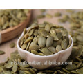 organic bulk pumpkin seeds shine skin pumpkin kernels